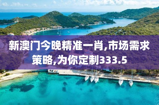 新澳门今晚精准一肖,市场需求策略,为你定制333.5