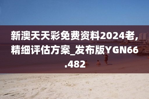 新澳天天彩免费资料2024老,精细评估方案_发布版YGN66.482