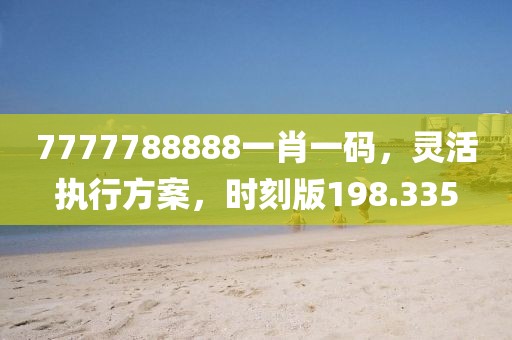 7777788888一肖一码，灵活执行方案，时刻版198.335