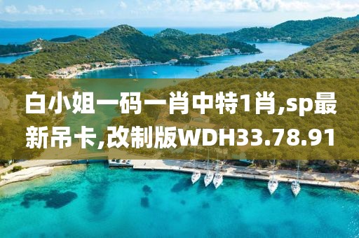 白小姐一码一肖中特1肖,sp最新吊卡,改制版WDH33.78.91
