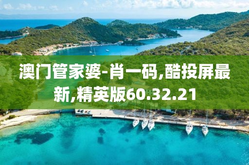 澳门管家婆-肖一码,酷投屏最新,精英版60.32.21