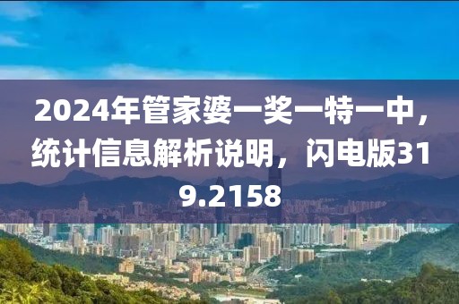 2024年管家婆一奖一特一中，统计信息解析说明，闪电版319.2158
