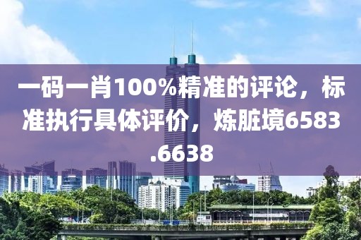 一码一肖100%精准的评论，标准执行具体评价，炼脏境6583.6638