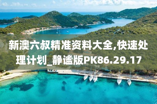 新澳六叔精准资料大全,快速处理计划_静谧版PK86.29.17