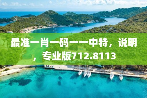 最准一肖一码一一中特，说明，专业版712.8113
