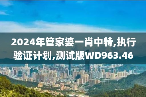 2024年管家婆一肖中特,执行验证计划,测试版WD963.46