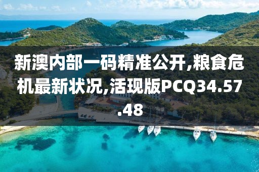 新澳内部一码精准公开,粮食危机最新状况,活现版PCQ34.57.48