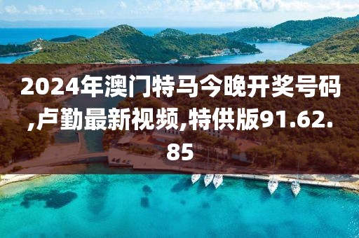 2024年澳门特马今晚开奖号码,卢勤最新视频,特供版91.62.85