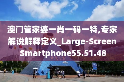 澳门管家婆一肖一码一特,专家解说解释定义_Large-Screen Smartphone55.51.48