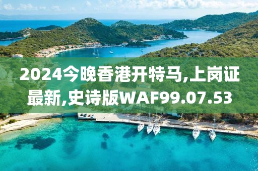 2024今晚香港开特马,上岗证最新,史诗版WAF99.07.53