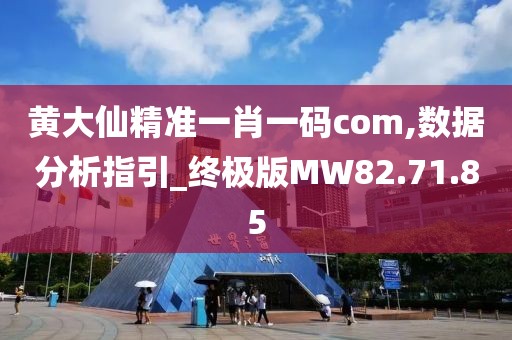 黄大仙精准一肖一码com,数据分析指引_终极版MW82.71.85
