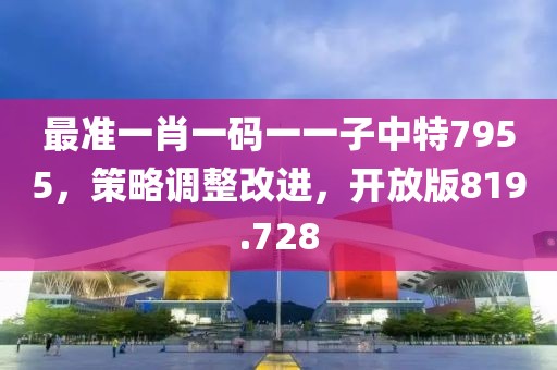 最准一肖一码一一子中特7955，策略调整改进，开放版819.728
