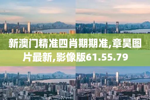 初告白 第11页