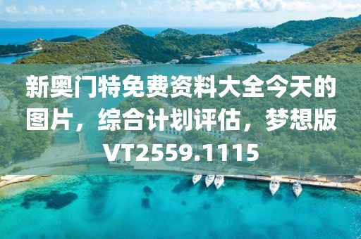 新奥门特免费资料大全今天的图片，综合计划评估，梦想版VT2559.1115