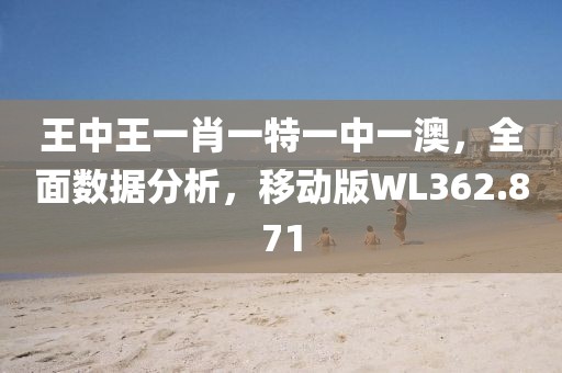 王中王一肖一特一中一澳，全面数据分析，移动版WL362.871
