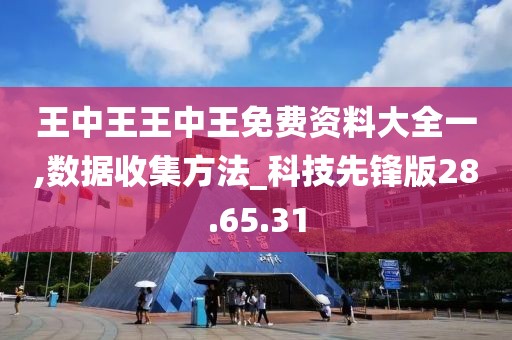 王中王王中王免费资料大全一,数据收集方法_科技先锋版28.65.31