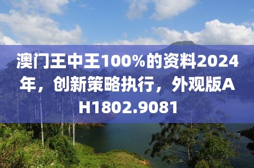 澳门王中王100%的资料2024年，创新策略执行，外观版AH1802.9081