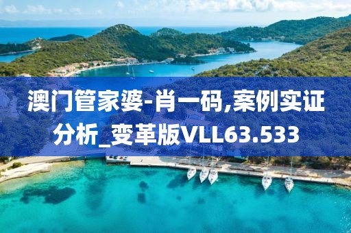 澳门管家婆-肖一码,案例实证分析_变革版VLL63.533