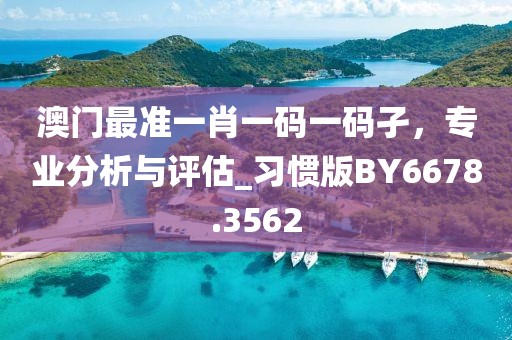 澳门最准一肖一码一码孑，专业分析与评估_习惯版BY6678.3562