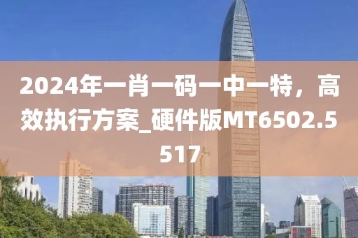 2024年一肖一码一中一特，高效执行方案_硬件版MT6502.5517