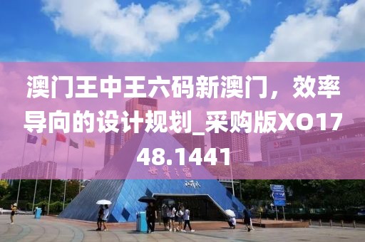 澳门王中王六码新澳门，效率导向的设计规划_采购版XO1748.1441
