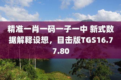 精准一肖一码一子一中 新式数据解释设想，目击版TGS16.77.80