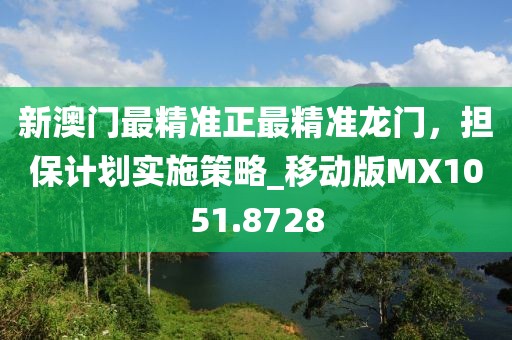新澳门最精准正最精准龙门，担保计划实施策略_移动版MX1051.8728
