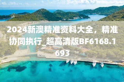 2024新澳精准资料大全，精准协同执行_超高清版BF6168.1693