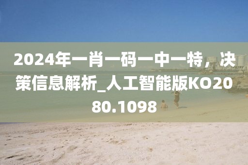 2024年一肖一码一中一特，决策信息解析_人工智能版KO2080.1098