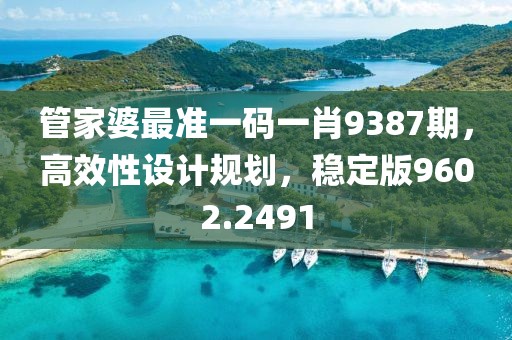 管家婆最准一码一肖9387期，高效性设计规划，稳定版9602.2491