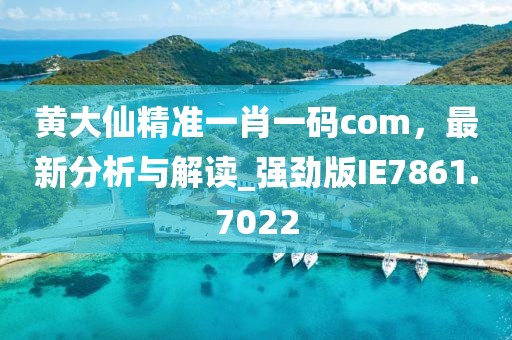 黄大仙精准一肖一码com，最新分析与解读_强劲版IE7861.7022