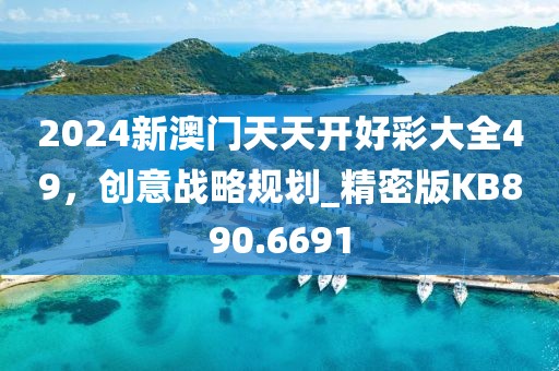 2024新澳门天天开好彩大全49，创意战略规划_精密版KB890.6691
