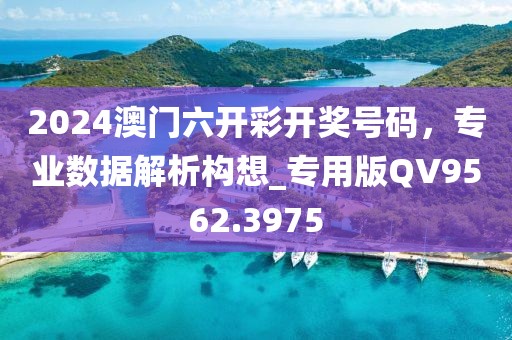 2024澳门六开彩开奖号码，专业数据解析构想_专用版QV9562.3975