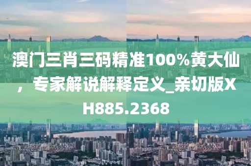 澳门三肖三码精准100%黄大仙，专家解说解释定义_亲切版XH885.2368