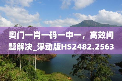 奥门一肖一码一中一，高效问题解决_浮动版HS2482.2563