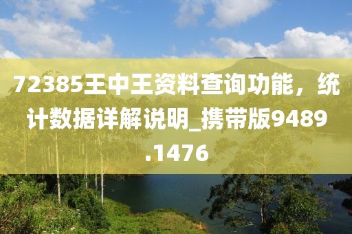 72385王中王资料查询功能，统计数据详解说明_携带版9489.1476