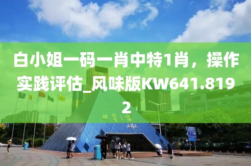 白小姐一码一肖中特1肖，操作实践评估_风味版KW641.8192