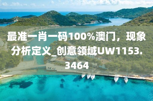 最准一肖一码100%澳门，现象分析定义_创意领域UW1153.3464
