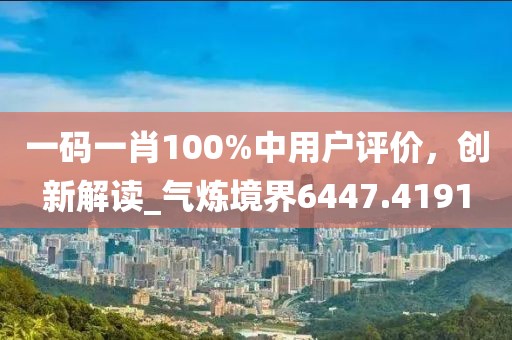 一码一肖100%中用户评价，创新解读_气炼境界6447.4191