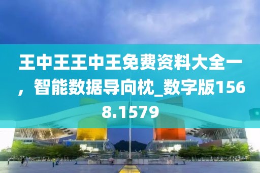 王中王王中王免费资料大全一，智能数据导向枕_数字版1568.1579