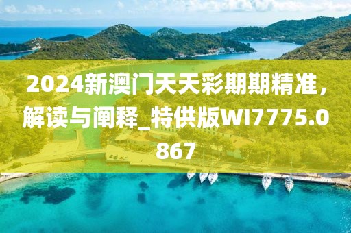 2024新澳门天天彩期期精准，解读与阐释_特供版WI7775.0867
