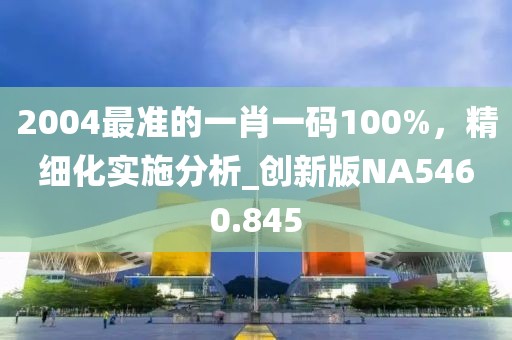 2004最准的一肖一码100%，精细化实施分析_创新版NA5460.845