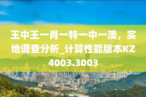 王中王一肖一特一中一澳，实地调查分析_计算性能版本KZ4003.3003
