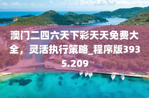 澳门二四六天下彩天天免费大全，灵活执行策略_程序版3935.209