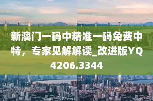 新澳门一码中精准一码免费中特，专家见解解读_改进版YQ4206.3344