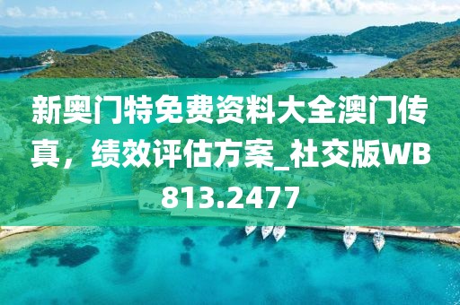 新奥门特免费资料大全澳门传真，绩效评估方案_社交版WB813.2477