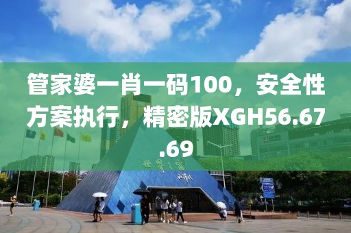 管家婆一肖一码100，安全性方案执行，精密版XGH56.67.69
