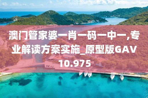 澳门管家婆一肖一码一中一,专业解读方案实施_原型版GAV10.975