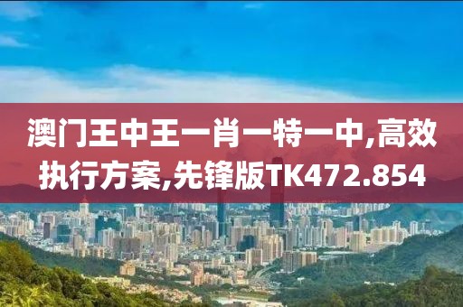 澳门王中王一肖一特一中,高效执行方案,先锋版TK472.854