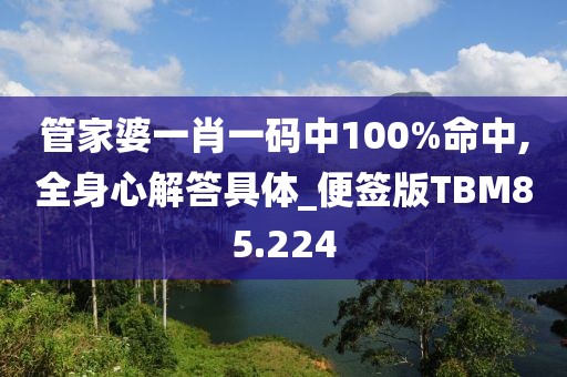 管家婆一肖一码中100%命中,全身心解答具体_便签版TBM85.224